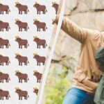 Neuvěřitelně obtížná hádanka: musíte najít podivného býka mezi 154 dalšími