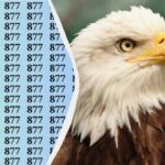 Tato hádanka vám „zlomí“ oči: najděte tajné číslo do 15