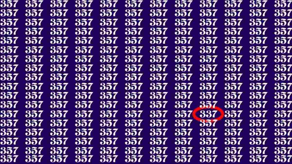 Číslo 337 najdou jen ti nejpozornější: optický klam pro génie