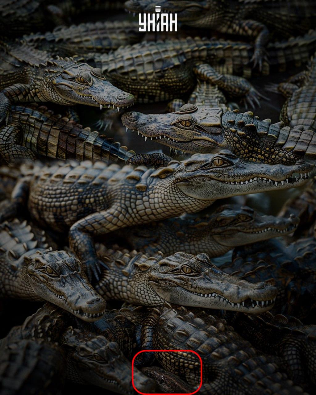 My