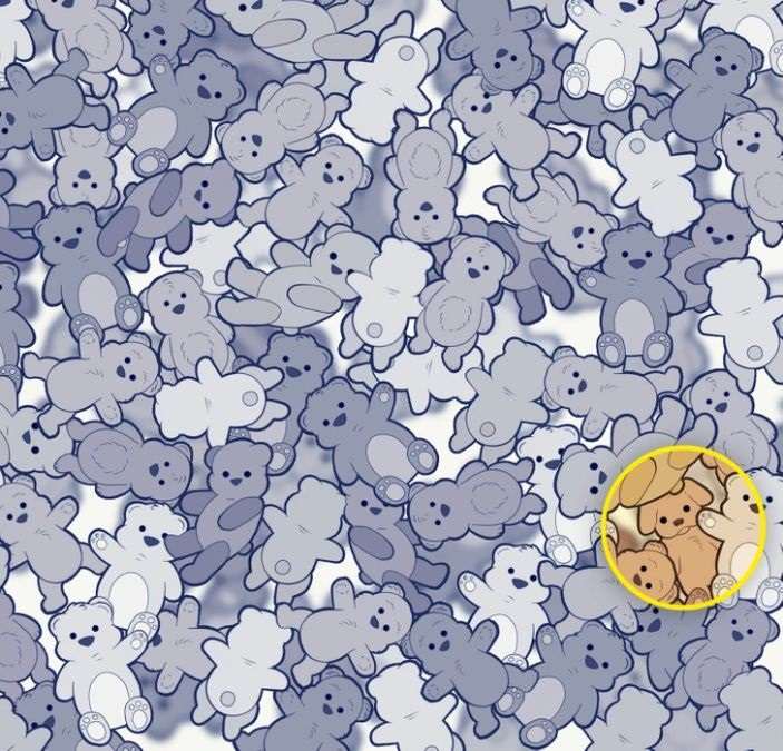 Potřebujete najít psa mezi medvídky: zábavná hádanka pro ty nejpozornější.