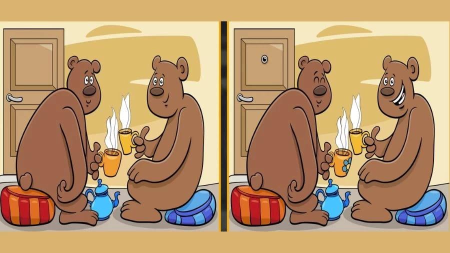 Hádanka / Fresherslive