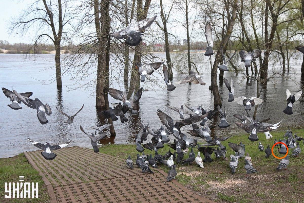 Fotografie My