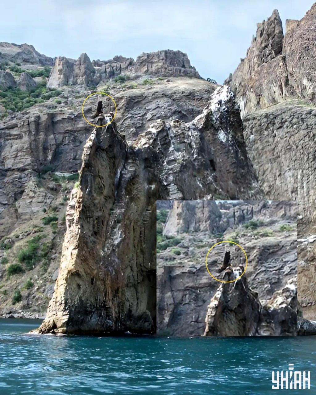 Pták je na jednom z vrcholků útesu / koláž s fotografií My