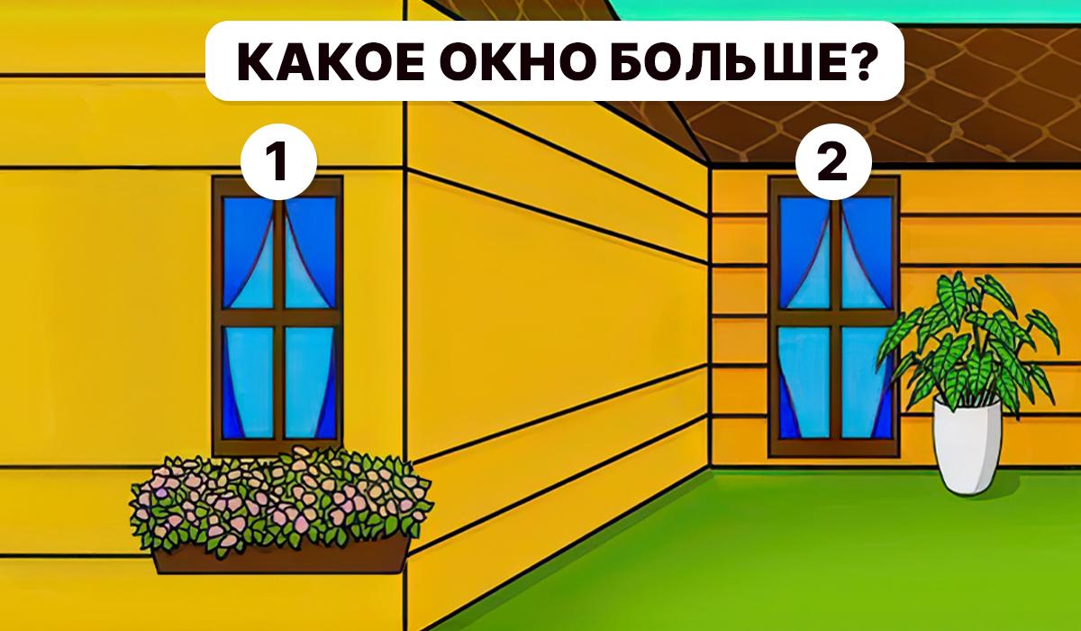 Je třeba pochopit, které okno je větší / koláž My