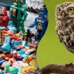 Bláznivá hádanka pro chytré: do 15 sekund musíte najít panenku