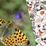 Chytrý jako Sherlock nebo ne: hádanka, která otestuje vaše IQ