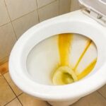 Jak odstranit rez ze záchodové mísy: 6 nejúčinnějších prostředků je