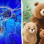 Nalezení falešného medvěda za 5 sekund: velmi jednoduchý IQ test