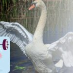 Pouze nadaní najdou 3 rozdíly za 30 sekund: logická hra