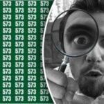 Pouze ti, kteří mají dokonalý zrak, mohou najít skryté číslo