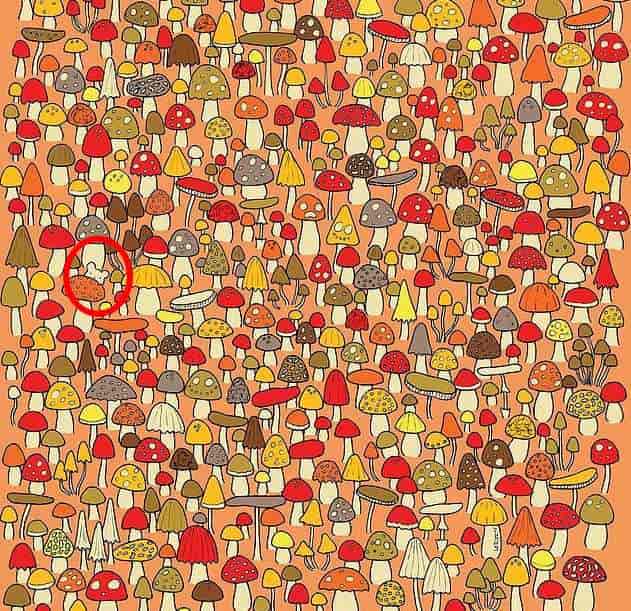Puzzle